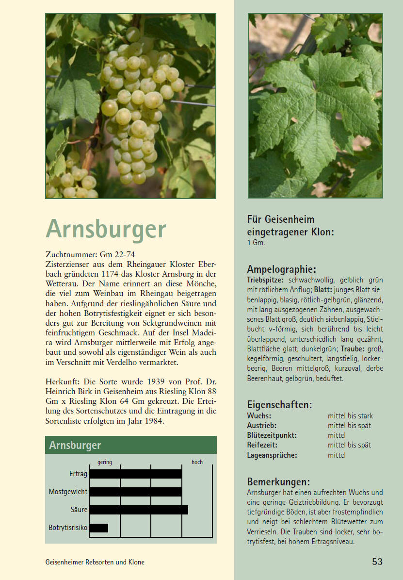 Arnsburger - Geisenheim