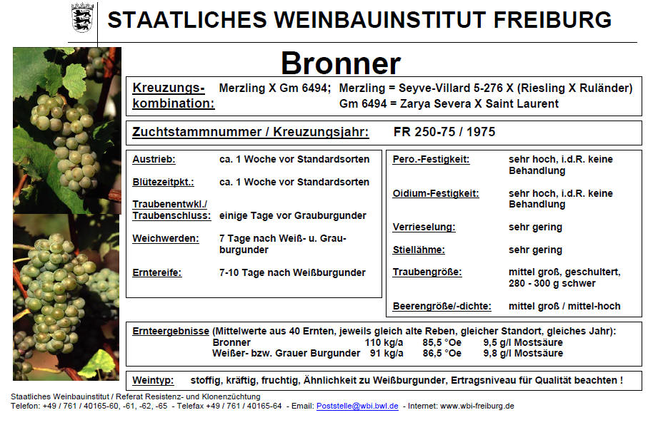 Bronner - Freiburg