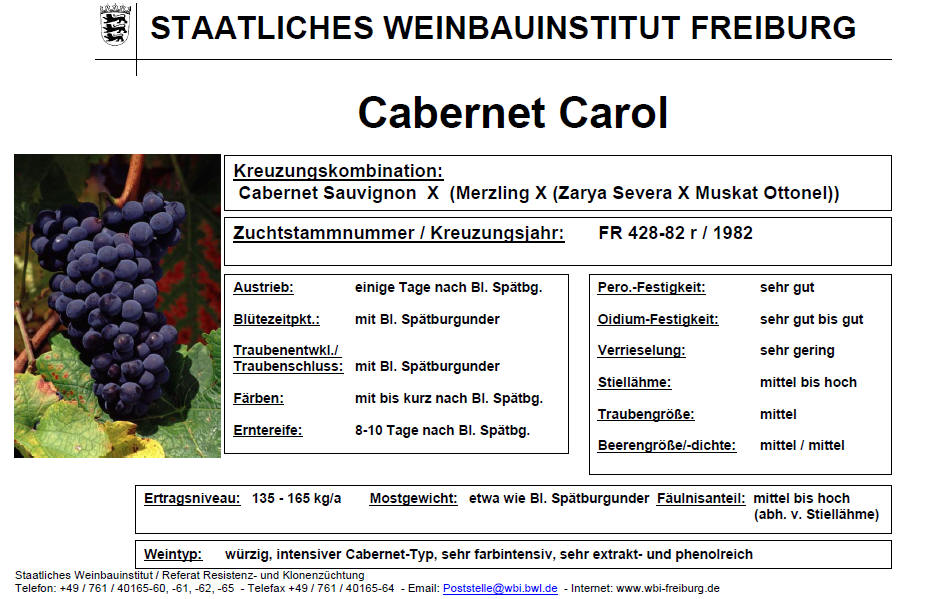 Cabernet Carol - Rebschule Müller