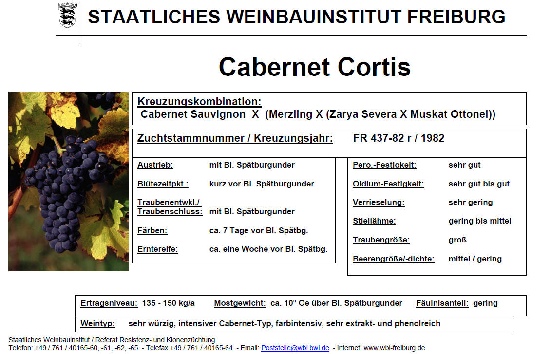 Cabernet Cortis - Rebschule Müller