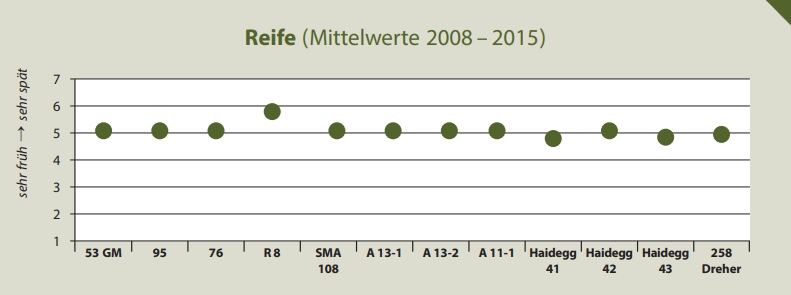 Reife - Rebschule Müller