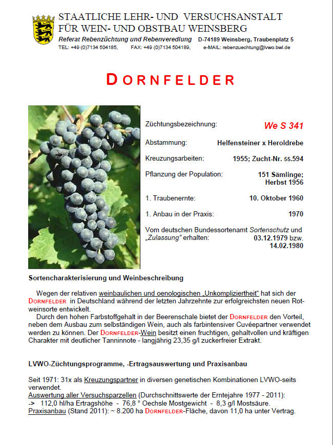 Dornfelder - Rebschule Müller