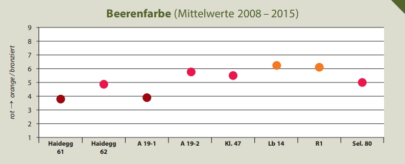 Beerenfarbe - Rebschule Müller