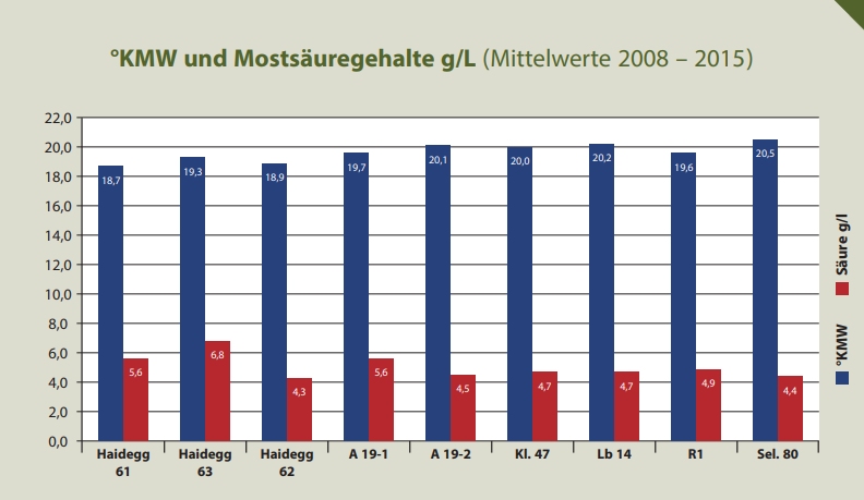 Mostgewicht - Rebschule Müller