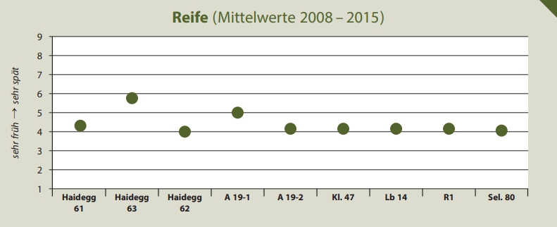 Reife - Rebschule Müller