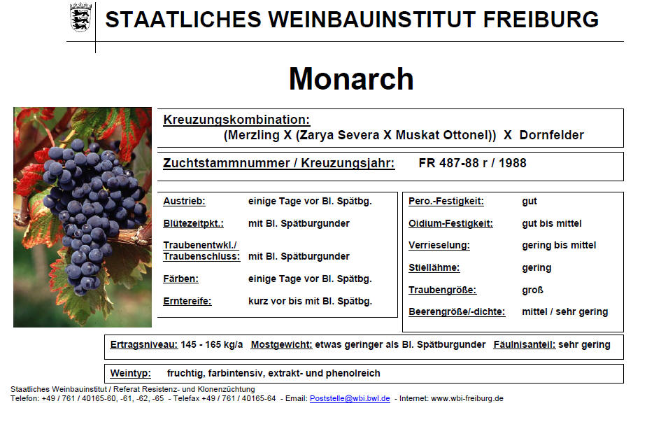 Monarch - Rebschule Müller
