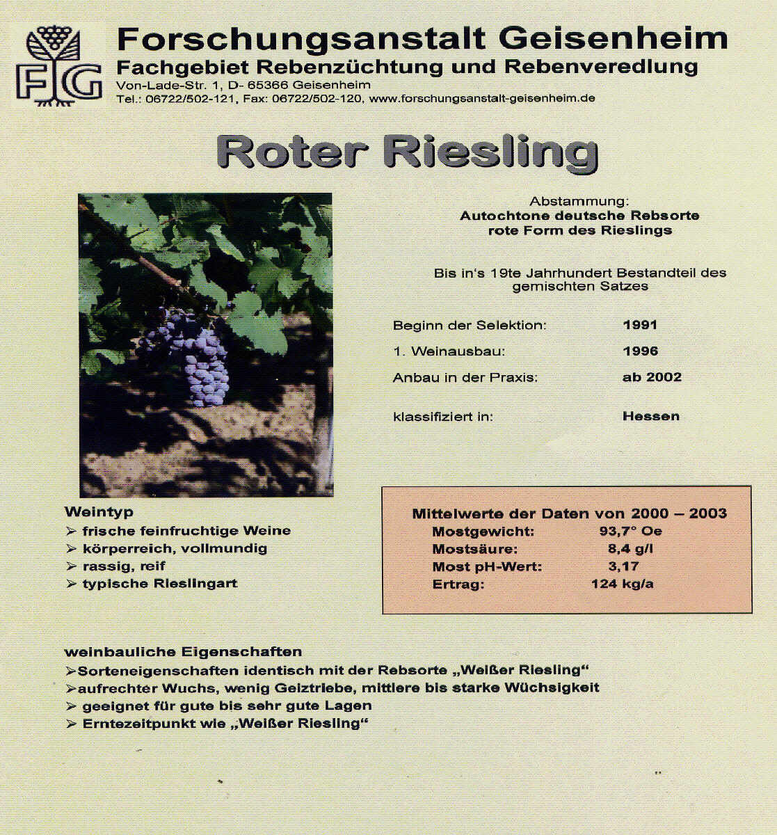 Roter Riesling - Rebschule Müller
