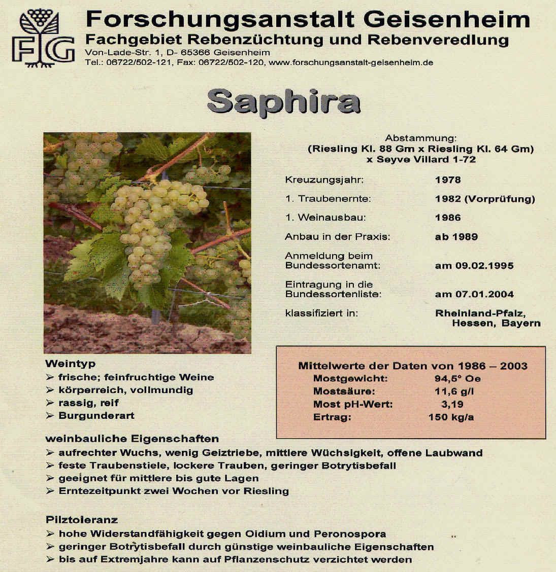 Saphira  - Rebschule Müller