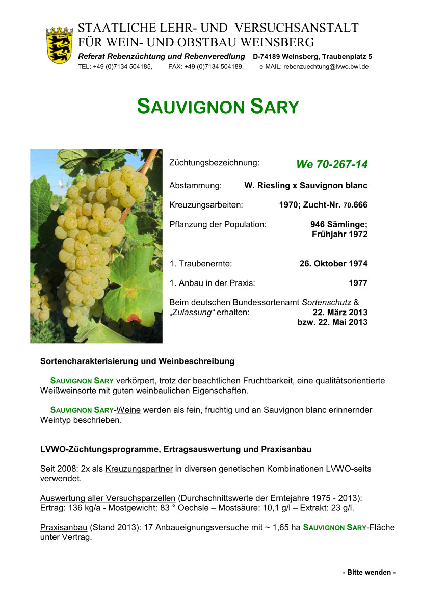 Sauvignon Sary - Rebschule Müller
