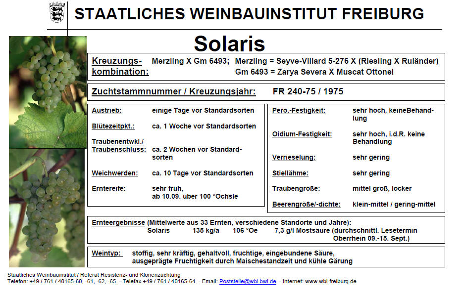 Solaris - Freiburg
